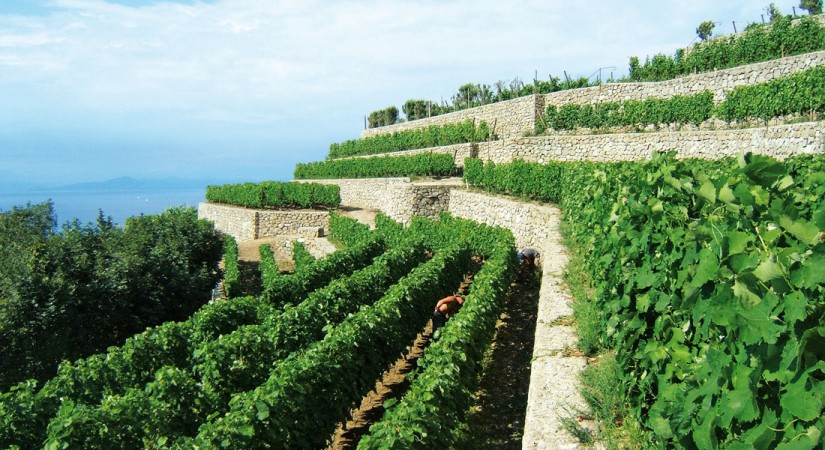 Hotel Terme La Pergola & Villa Flavio