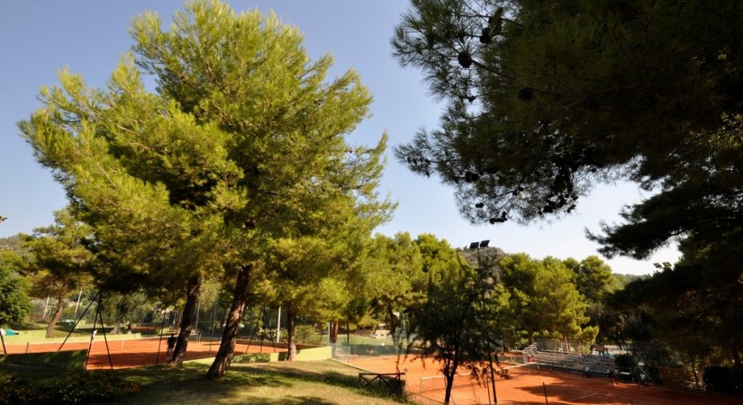 Pugnochiuso Resort Hotel Degli Ulivi | Foto 3