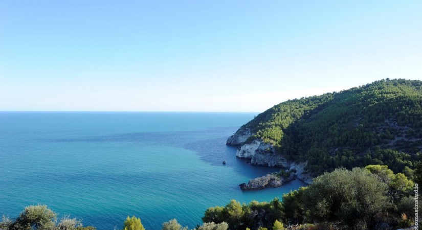 Pugnochiuso Resort Hotel Degli Ulivi | Foto 9