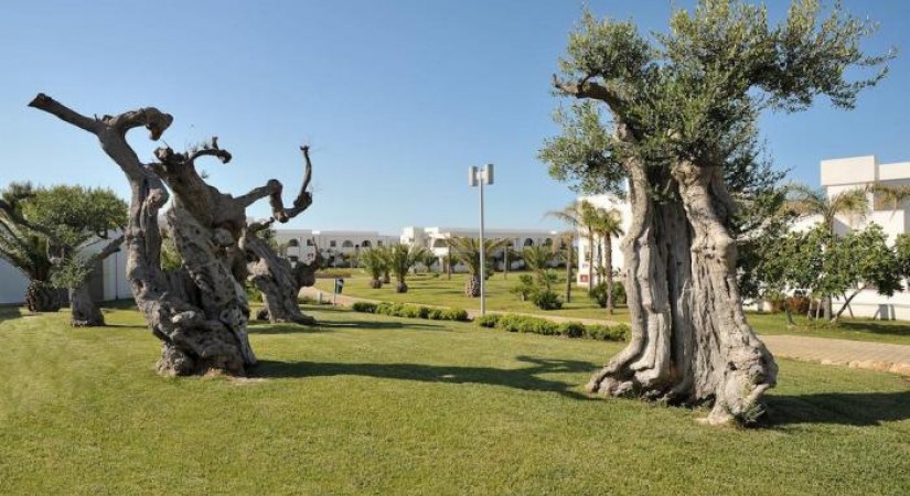 Atelier Premium Pietrablu Resort & Spa