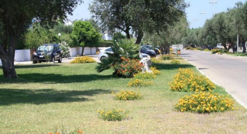 Eurogarden Village
