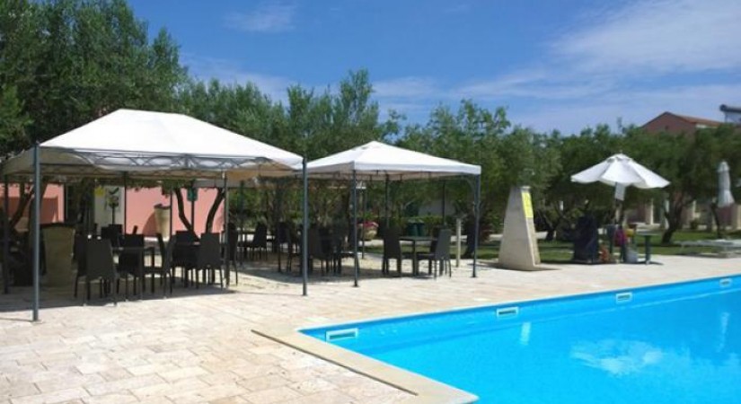 Family Village | Foto 17