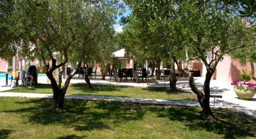 Family Village | Foto 19