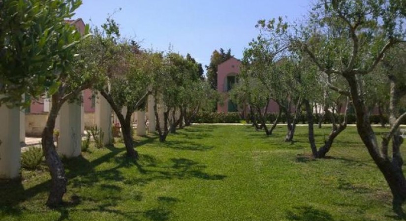 Family Village | Foto 22