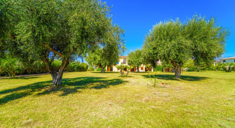 Atelier Club Villaggio Baia Della Rocchetta | Foto 3