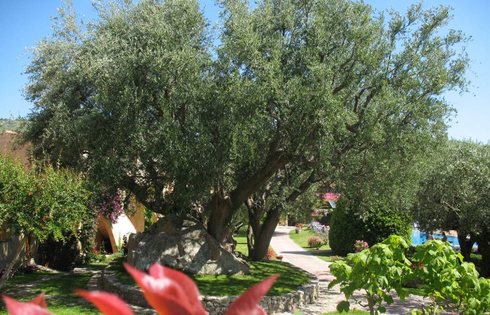 Villaggio L'Olivara Residence