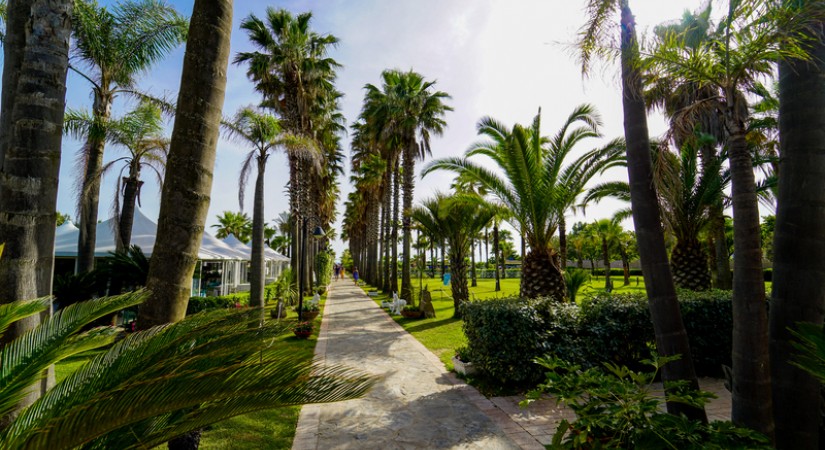 Cilento Resort Velia giardino