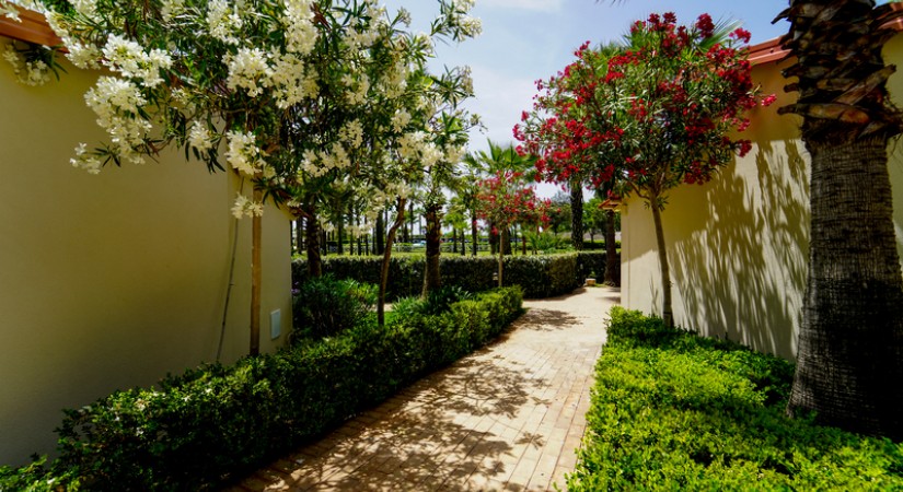  Cilento Resort Velia