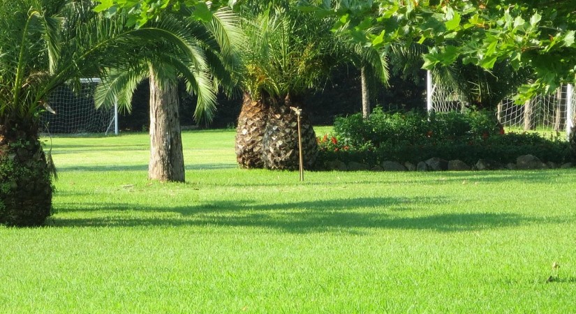 Forte Club Scalea