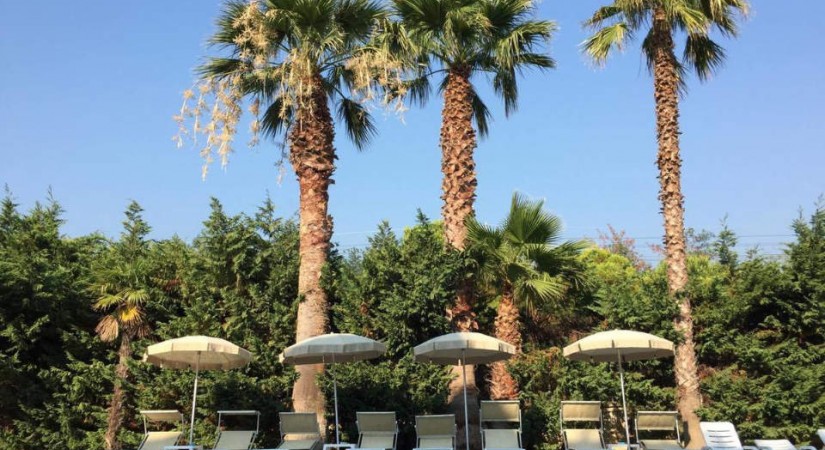 Sea Palace Hotel