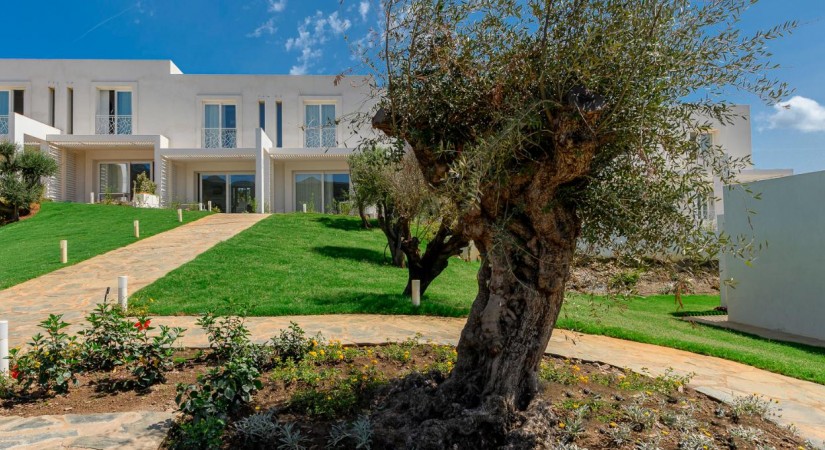 Capo Falcone Charming Apartments
