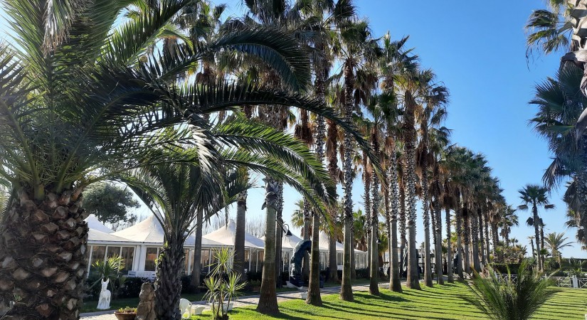 Cilento Resort Velia