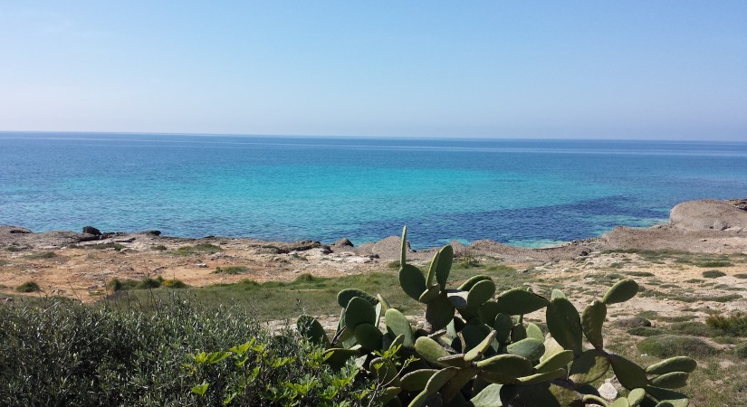 Le Case Al Mare